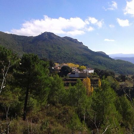 Las Encinas Yeste Luaran gambar