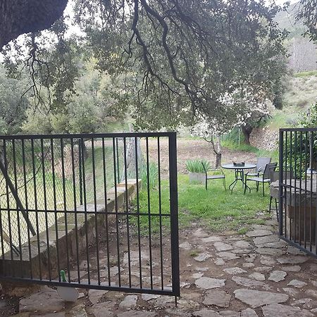 Las Encinas Yeste Luaran gambar