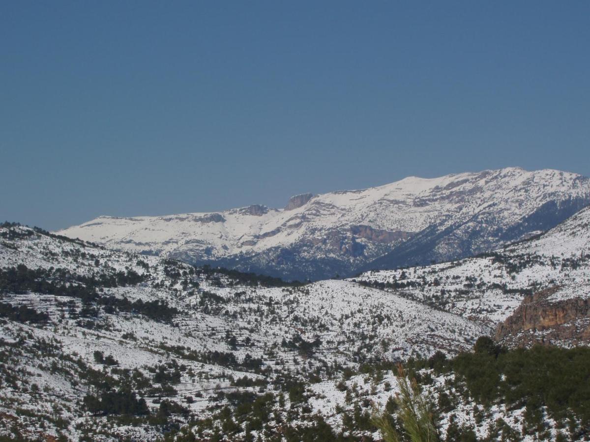 Las Encinas Yeste Luaran gambar