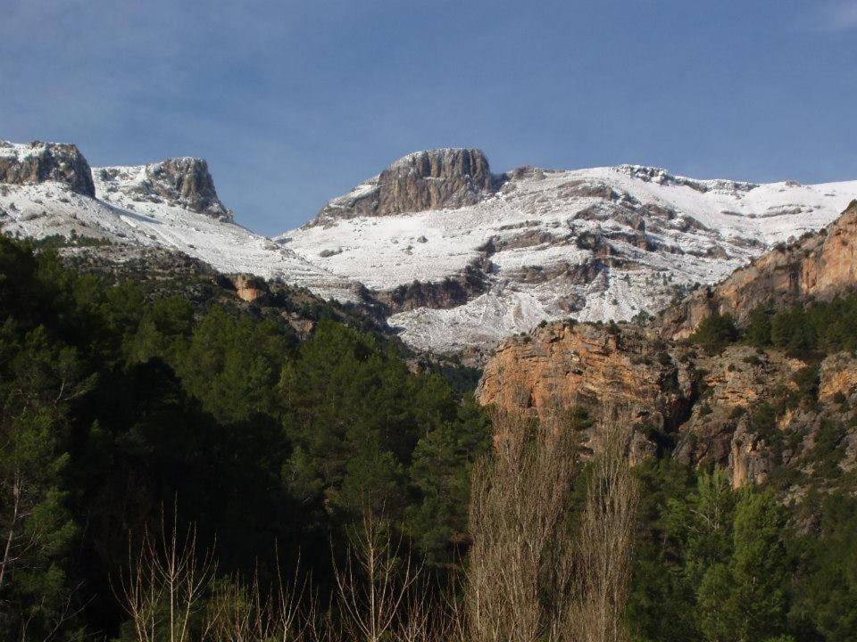 Las Encinas Yeste Luaran gambar
