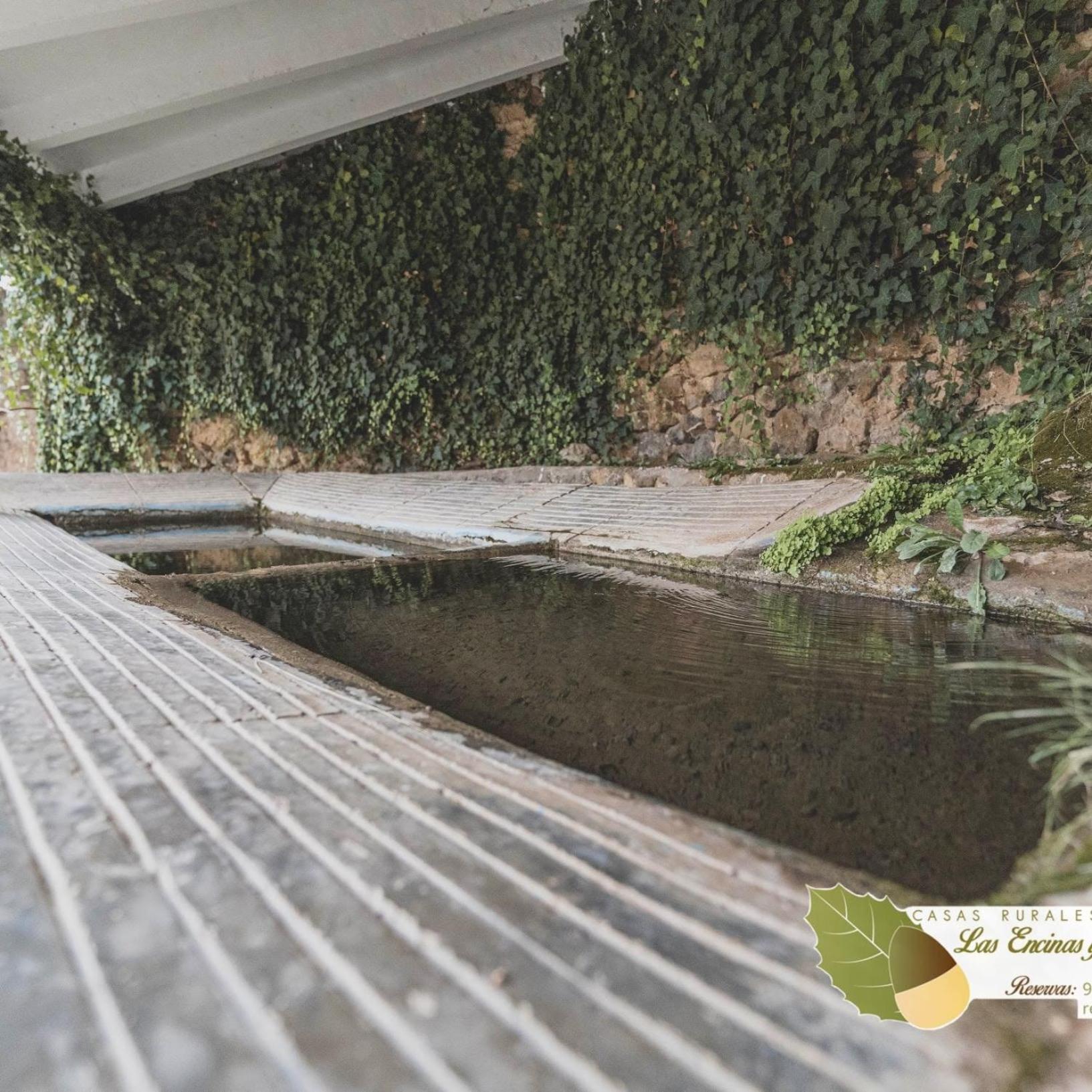 Las Encinas Yeste Luaran gambar